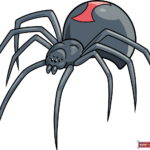 How to Draw a Black Widow Spider Featured Image