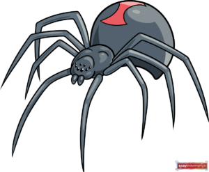 How to Draw a Black Widow Spider Featured Image