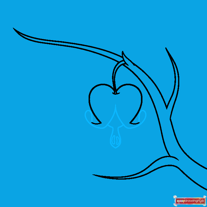 Bleeding Heart Flower step-by-step drawing tutorial: step 3