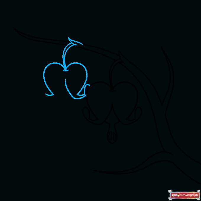 Bleeding Heart Flower step-by-step drawing tutorial: step 4