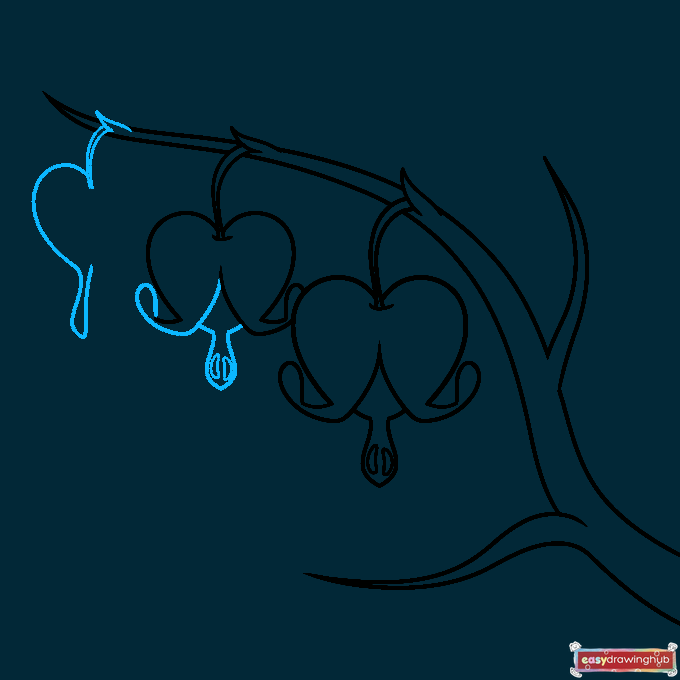 Bleeding Heart Flower step-by-step drawing tutorial: step 5