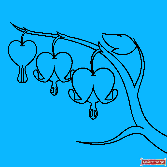 Bleeding Heart Flower step-by-step drawing tutorial: step 7