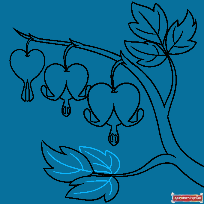 Bleeding Heart Flower step-by-step drawing tutorial: step 9
