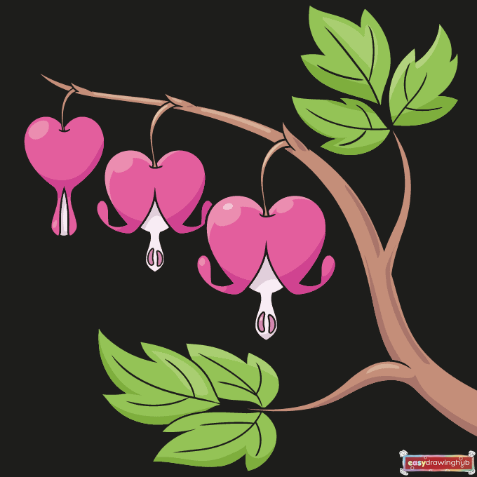 Bleeding Heart Flower step-by-step drawing tutorial: step 11
