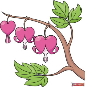How to Draw a Bleeding Heart Flower Featured Image