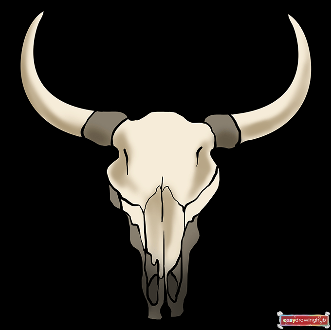 How to Draw a Bull Skull Step 10