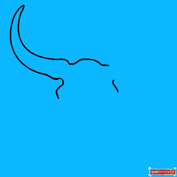 How to Draw a Bull Skull Step 03