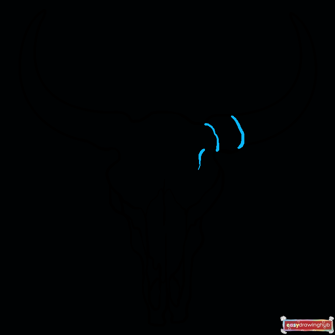 How to Draw a Bull Skull Step 08