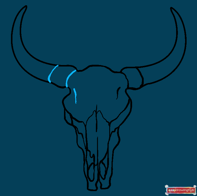 How to Draw a Bull Skull Step 09