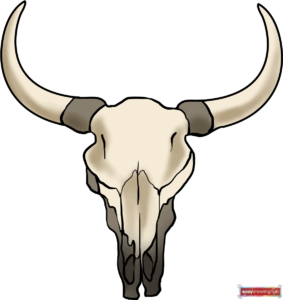 How to Draw a Bull Skull Featured Image