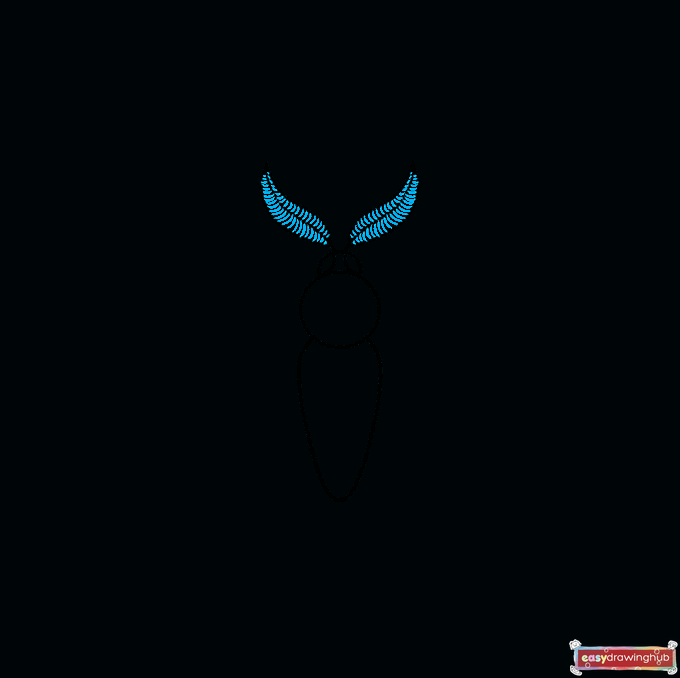 How to Draw a Moth Step 03