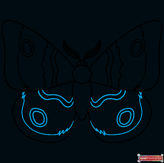 How to Draw a Moth Step 07
