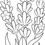 Free printable LAvander coloring page