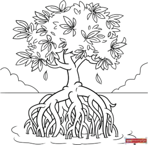 Free printable Mangrove Tree coloring image