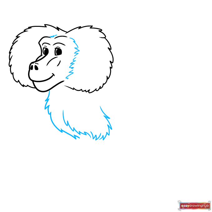 Line art demonstrating how to draw the jagged fur on the neck and the smooth curve of the baboon's chest and shoulder.