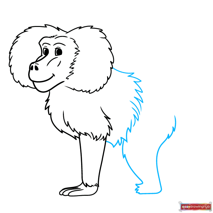 Step-by-step guide showing how to draw the furry arched back and the thick upper thigh of the baboon's rear leg.