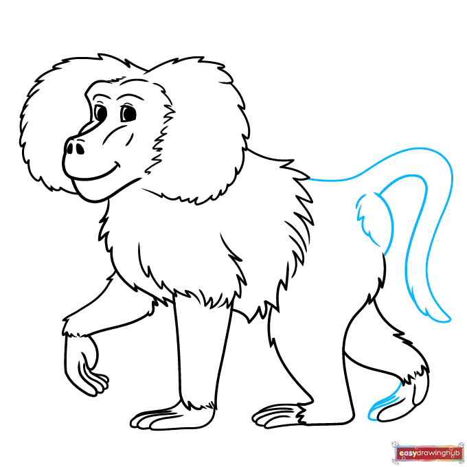 Final outline step showing how to draw the long, curved tail with a furry tip on the cartoon baboon.