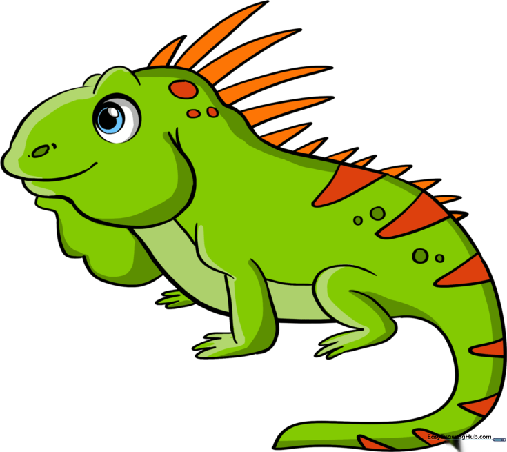How to Draw an Iguana