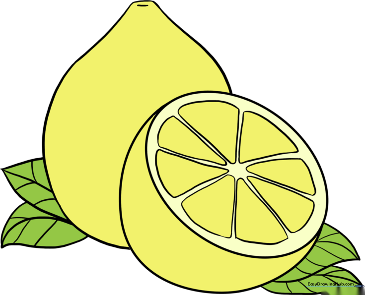How to Draw a Lemon