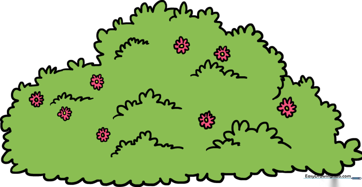 How to Draw a Bush