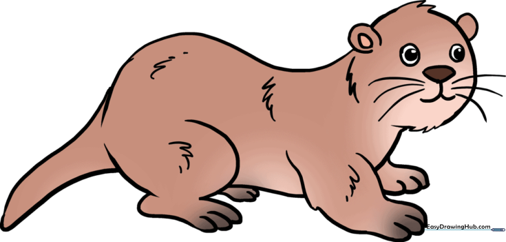How to Draw an Otter