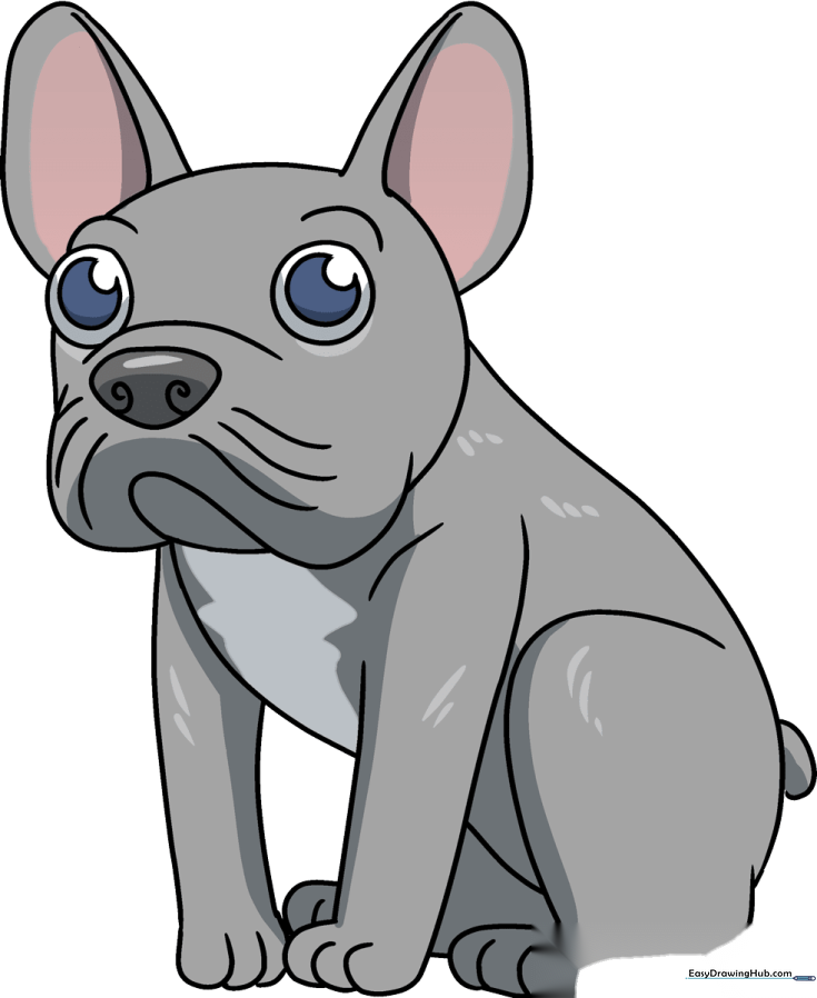 How to Draw a French Bulldog