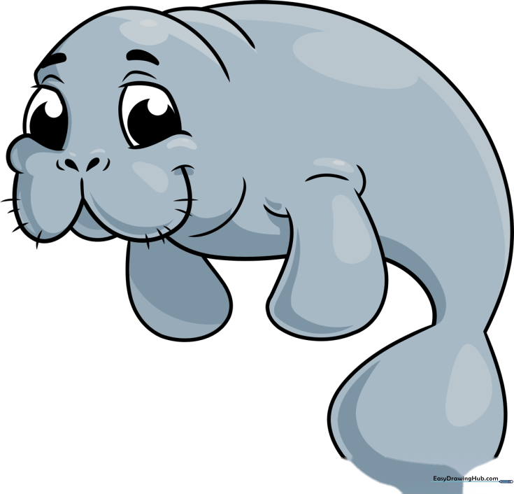 How to Draw a Manatee