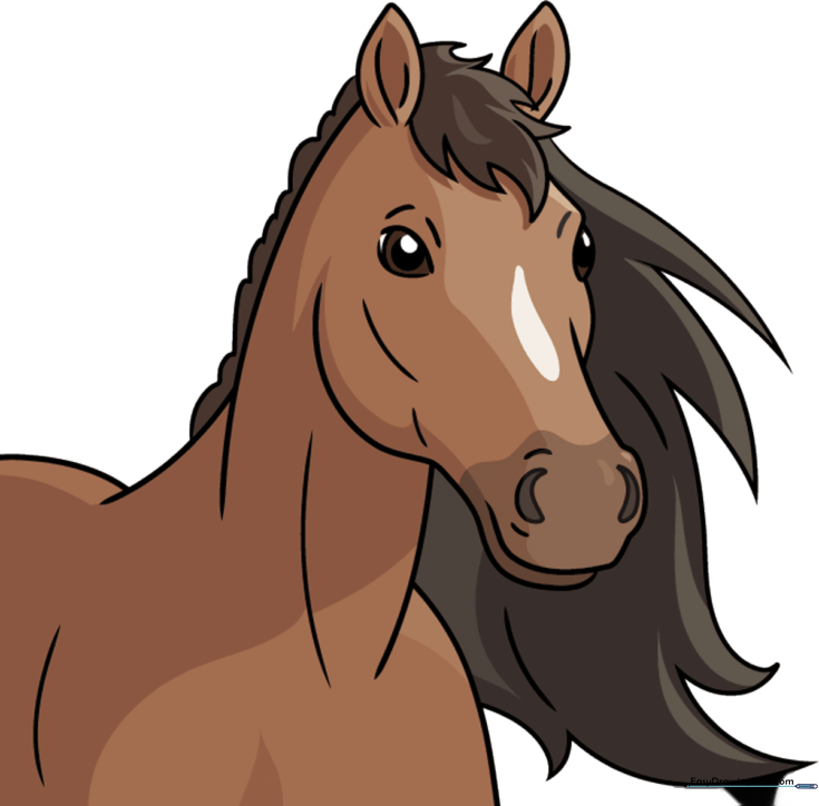 How to Draw a Horse’s Head