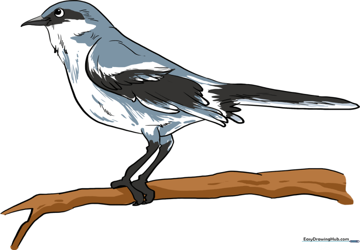 How to Draw a Mockingbird