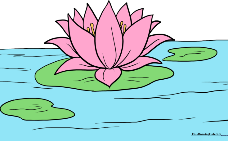 How to Draw a Lotus Flower