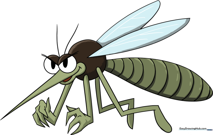 Mosquito