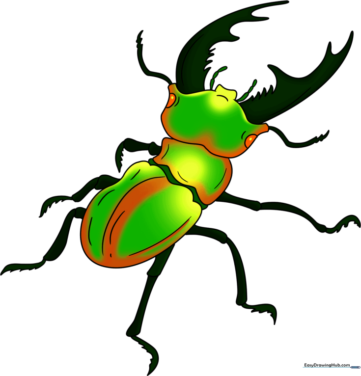 Beetle