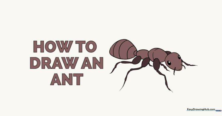 Ant