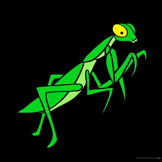 Praying Mantis