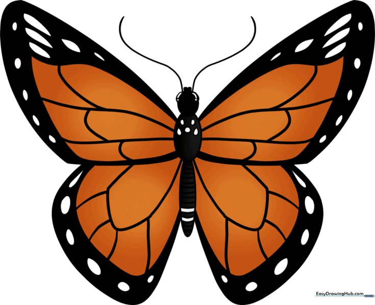 Monarch Butterfly