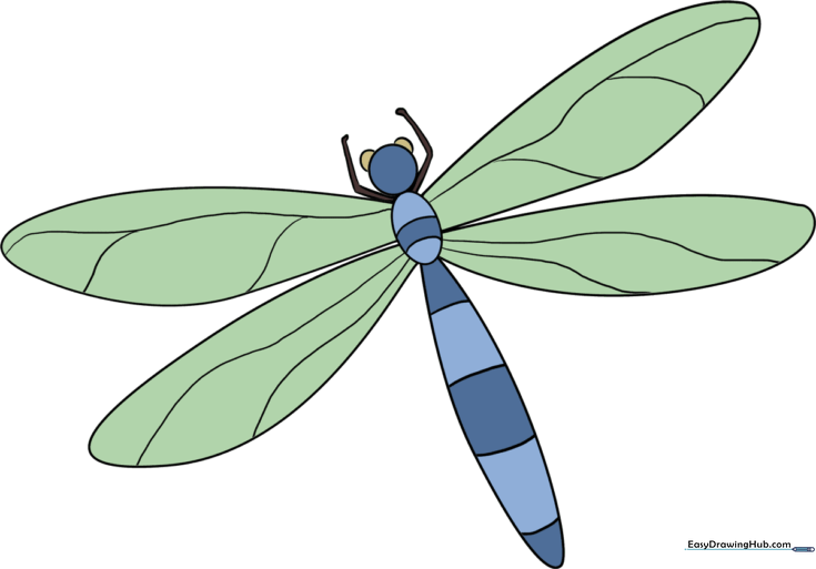 Dragonfly