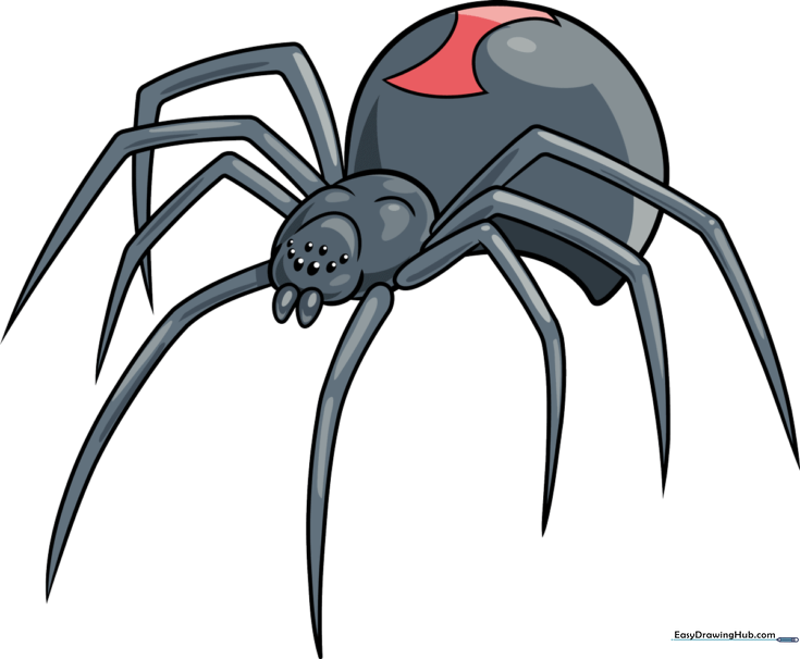 Black Widow Spider