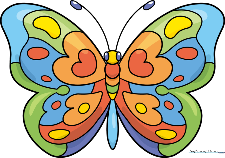 Rainbow Butterfly