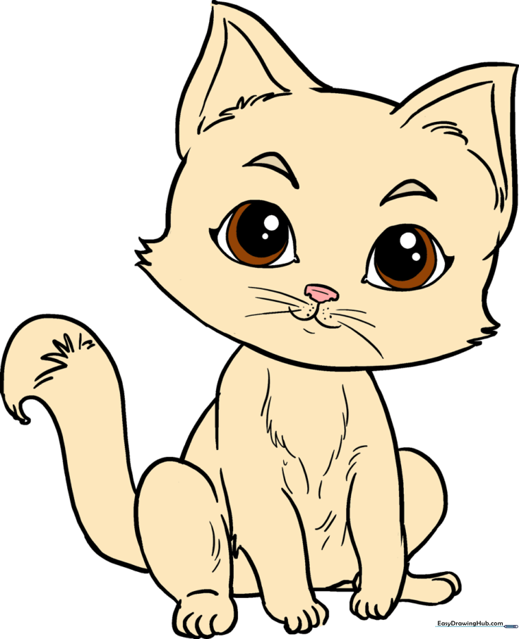 How to Draw a Kitten