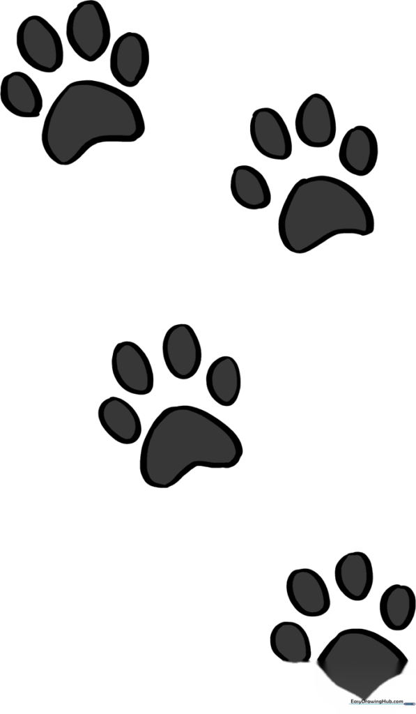 How to Draw Cat Paw Prints
