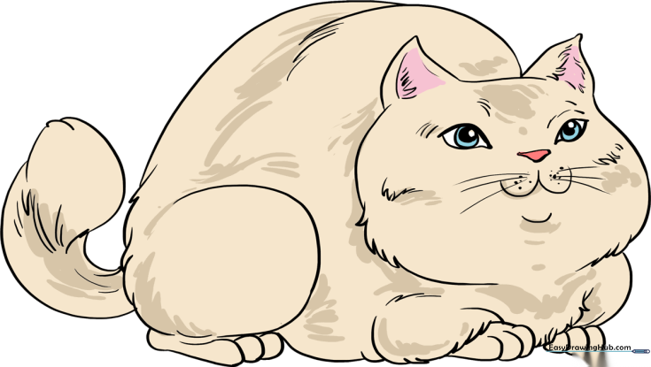 How to Draw a Fat Cat