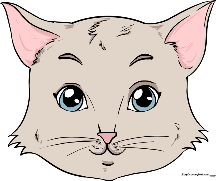 How to Draw a Cat Face