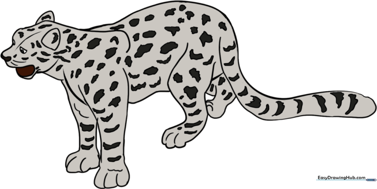How to Draw a Snow Leopard
