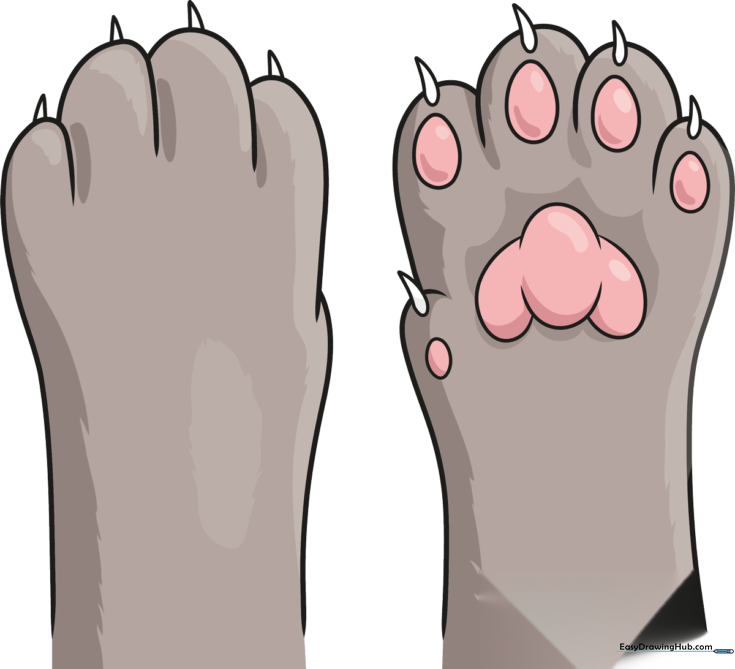 Cat Paw