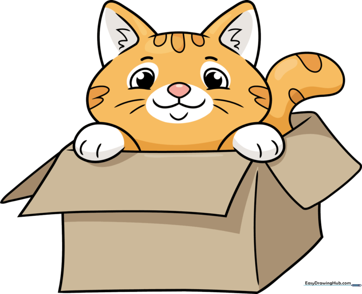 Funny Cat in a Box