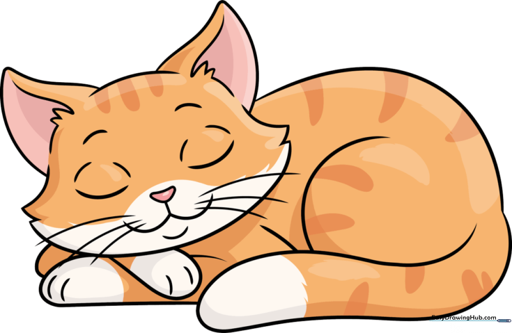 Simple Sleeping Cat