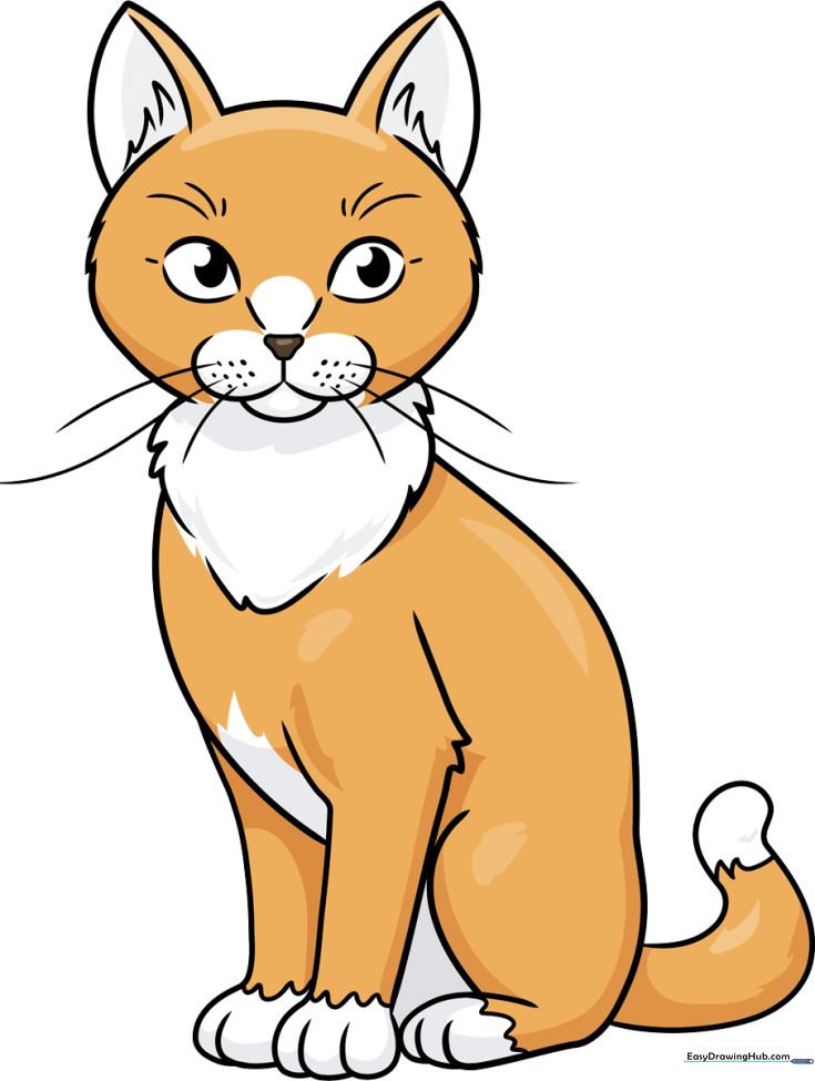 Sitting Cat