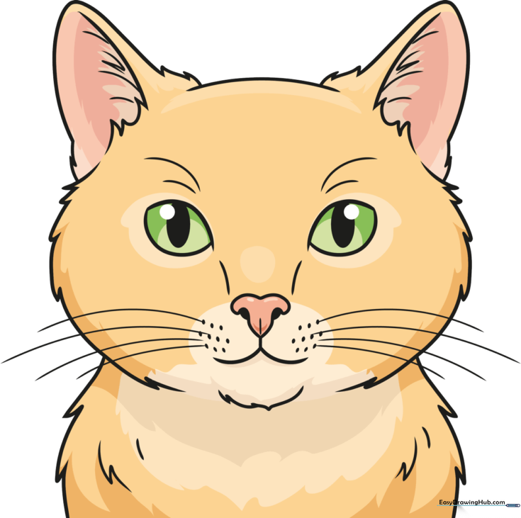 Easy Realistic Cat Face