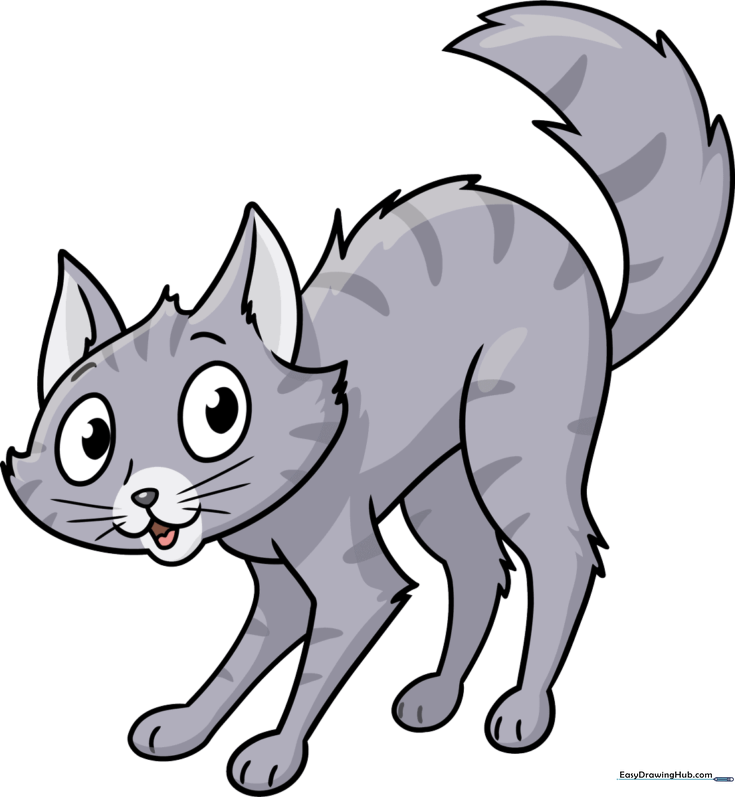 Scared Cat