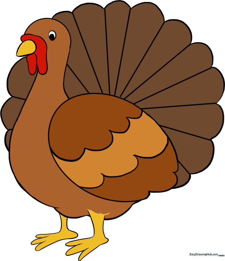 How to Draw a Turkey